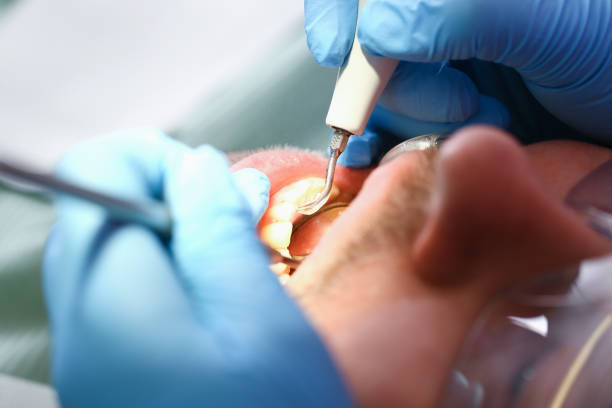 Best Emergency Cosmetic Dentistry in Bear Creek, AK
